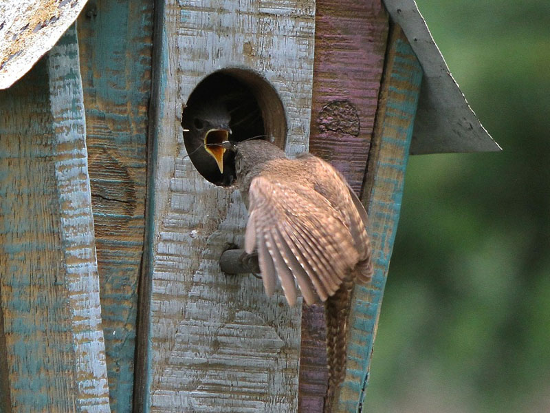 supplier parfum walet Palopo